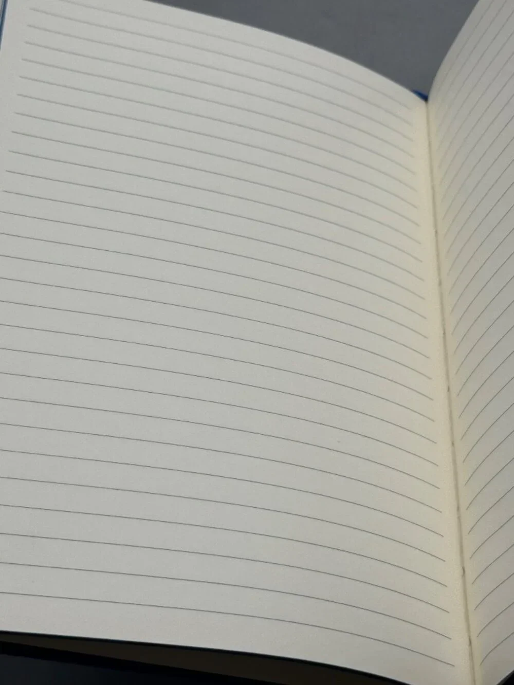 Leeman Blue Embossed Journal Elastic Bookmark 50th Anniversary Edition READ